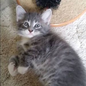 Meet your Posher, Eva